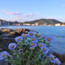11월 17일 월요일 부김방 출석부 이미지
