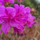 남평동초등학교 이미지