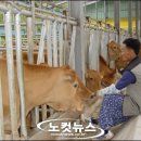 코뚜레목장 이미지