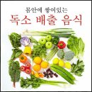 독소배출