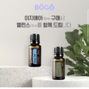 도테라오일 이미지