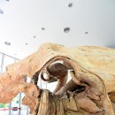 아천 문화관 이미지