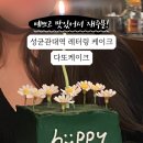 다또케이크