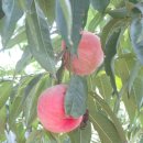 남은농장 이미지