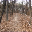 봉화산둘레길 이미지