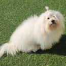 Coton4u 이미지