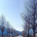 학사3리 이미지