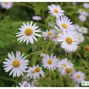 쌍둥이네 농장 이미지