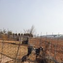 동암 농로 이미지