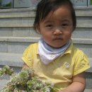 주상초등학교 이미지