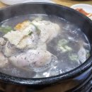 신월동 삼계탕 맛집 서박사 능이백숙 복날최고
