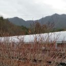 나가지농장 이미지