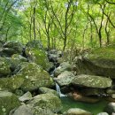 양산 千聖山 사원재골 탐구 산행 이미지