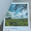 어반플랜트 수영 이미지