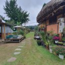 (주)들녘 | 2025 아산 외암민속마을 짚풀문화제 축제 후기 | 천안 빵빵데이 축제 후기