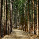 고길천로 이미지