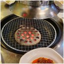 황소실비 이미지