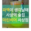 마린비어 이미지