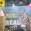 팡팡 캣페스타 SETEC 후기 - 지위픽 보레알 인스팅트...앤츄이스 펫츠플레이트 시그니처바이 로우즈...