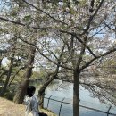 제주 와싱톤 | [히로시마 가볼만한 곳] 시내 여행스팟 3대장 솔직 후기:) 히로시마성/슛케이엔/원폭돔 야경