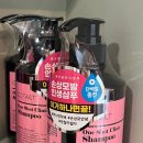노일가스 이미지
