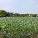 완산생활체육공원 인공암벽장 이미지