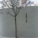 구공 이미지