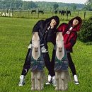 바비아이 이미지