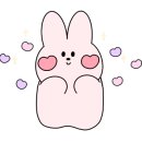 하이어 디테일링 이미지