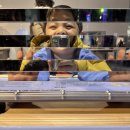 국립과천과학관 | 국립과천과학관 후기, 겨울 아이랑 가기 좋은 실내 체험관