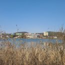 용수교 둔치 야구장 이미지