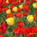 광시중학교 이미지