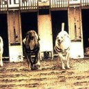 오로라PC방 이미지