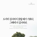 더감사