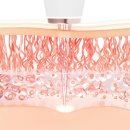 아는 만큼 힘이 되는 세무 상식 | [알록 특별 프로모션+사은품] 올해가 가기 전 나를 바꿀 수 있는 마지막 기회!&#34;울트라 체인지 포커스...