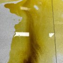 생생동물병원 이미지