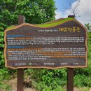 [대암산] 한국의 산하 300명산