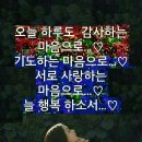 큼지막 이미지