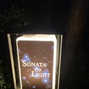 빛의 소나타 | 아기랑 다녀온 소나타오브라이트 밤 산책 후기(내돈내산)