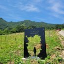 금계마을회관 | [지리산둘레길 4코스(금계~동강)] 첫 폭염에 휘청이던 날(&#39;23, 6/18)