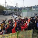 음성축산물공판장… '소머리' 놓고 골머리 이미지