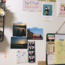 틀니쟁이 이미지