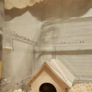 특별한동물가게 평택점 | 평택 특별한 동물가게 평택점에 다녀왔어요!