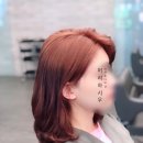 헤어도시 이미지