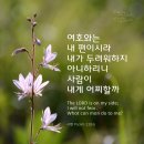 새우잠
