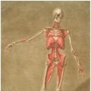 종로광장정형외과의원 | 무릎 보호에 최고의 착화감 제공하는 운동화 선택법