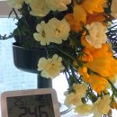 If | 여름 필수템 체감온도계 IF-75T 후기｜온도보다 중요한 ‘이것’