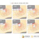 공감백치과 이미지