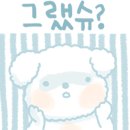 피오니스튜디오 이미지