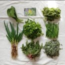 재미농장 이미지